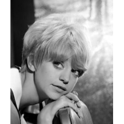 Goldie Hawn Photo